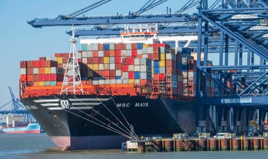 21 32 36 50 72 105 128 Cells Tray